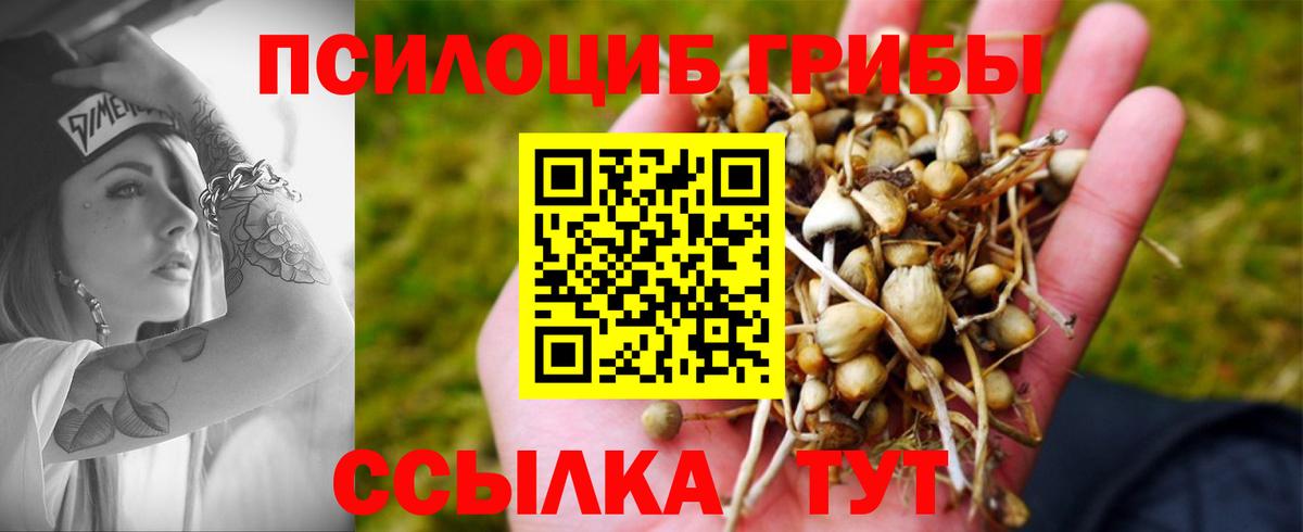 Галлюциногенные грибы Cubensis  Вход с VPN  Южно-Сахалинск 